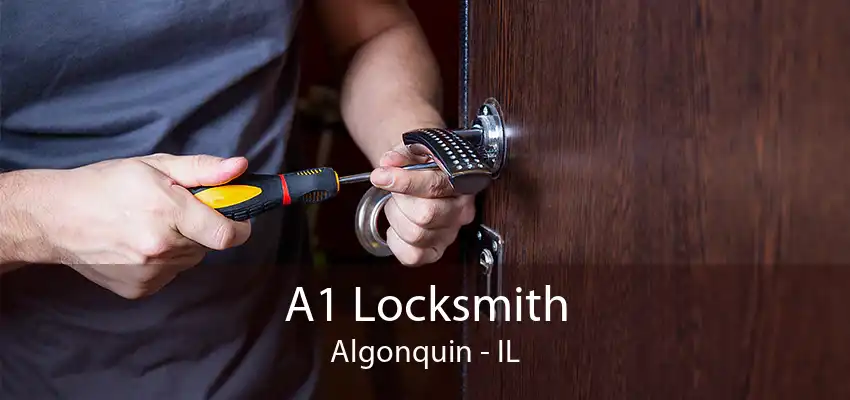 A1 Locksmith Algonquin - IL