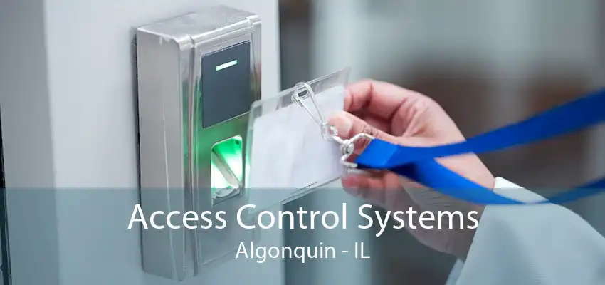 Access Control Systems Algonquin - IL