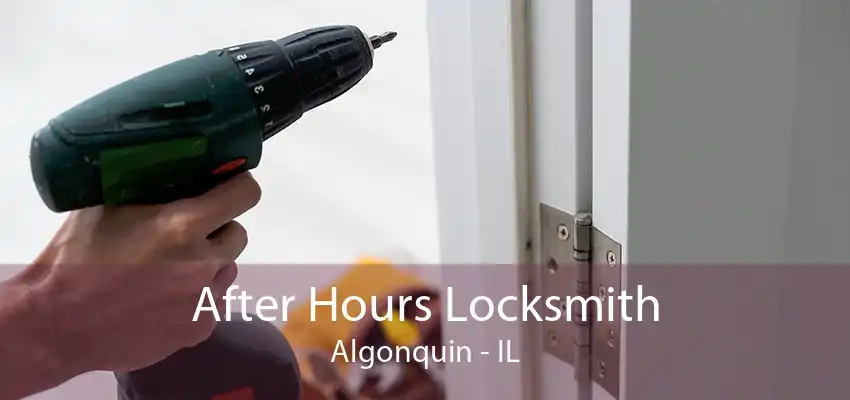 After Hours Locksmith Algonquin - IL