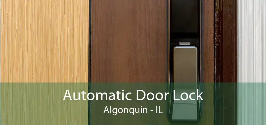 Automatic Door Lock Algonquin - IL