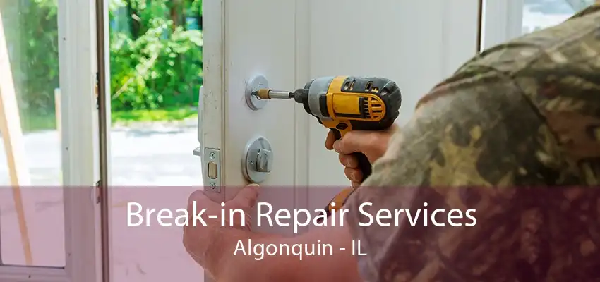 Break-in Repair Services Algonquin - IL