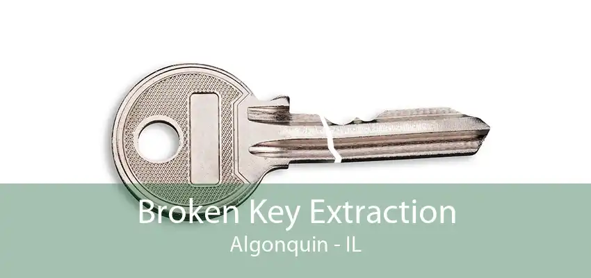 Broken Key Extraction Algonquin - IL