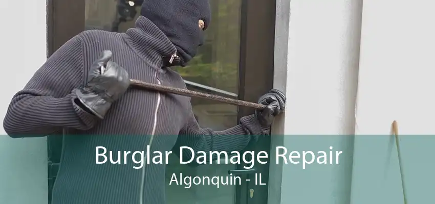 Burglar Damage Repair Algonquin - IL