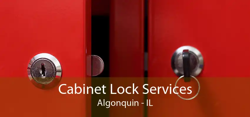 Cabinet Lock Services Algonquin - IL