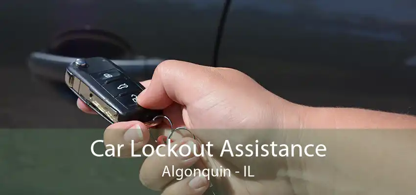 Car Lockout Assistance Algonquin - IL