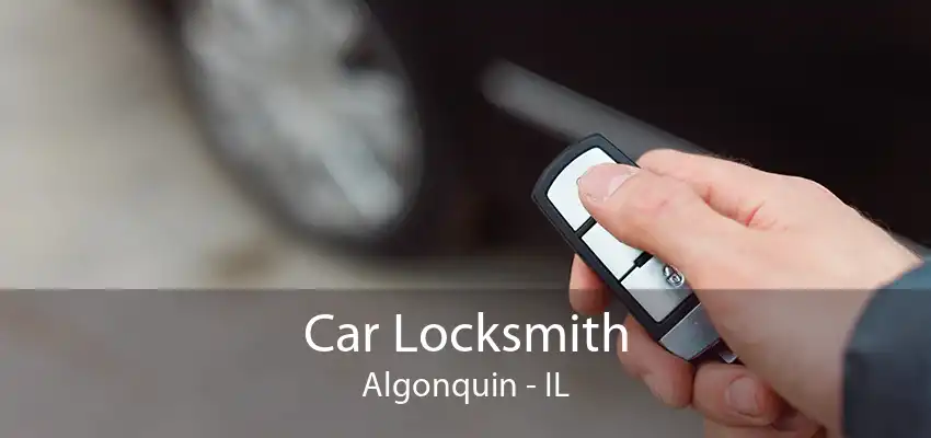 Car Locksmith Algonquin - IL