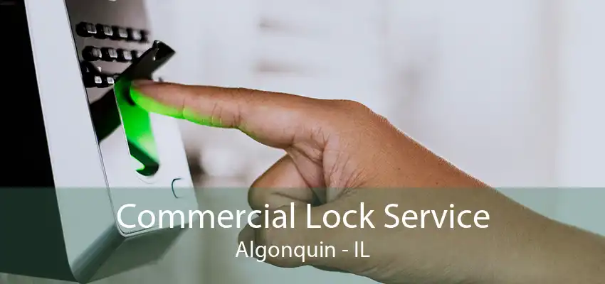 Commercial Lock Service Algonquin - IL