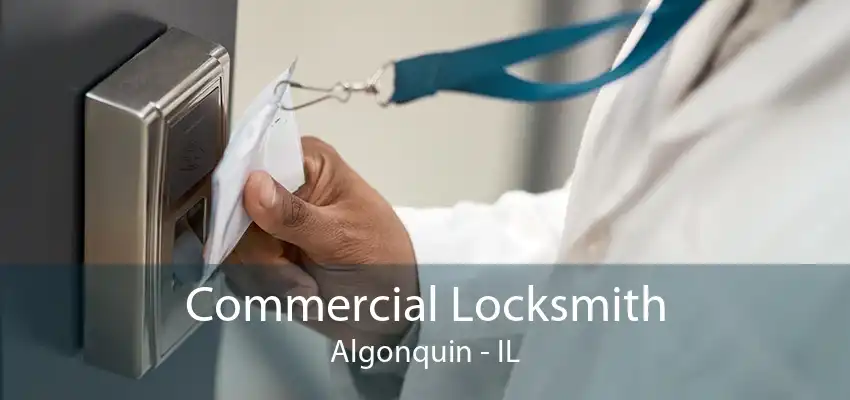 Commercial Locksmith Algonquin - IL