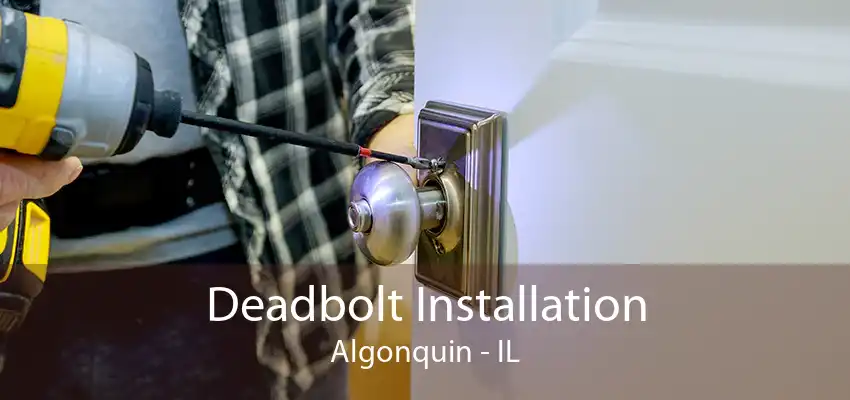 Deadbolt Installation Algonquin - IL