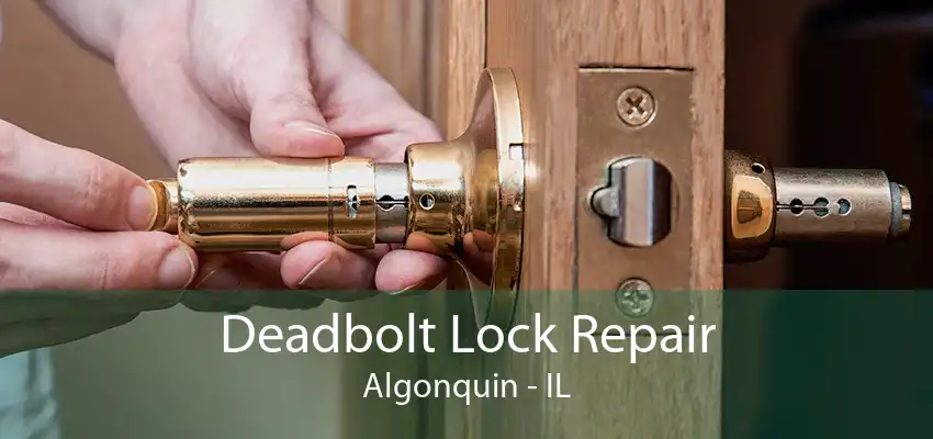 Deadbolt Lock Repair Algonquin - IL