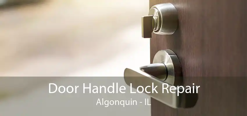 Door Handle Lock Repair Algonquin - IL