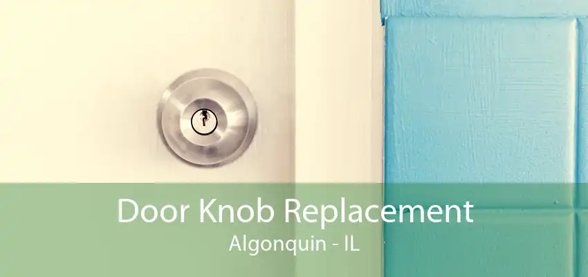 Door Knob Replacement Algonquin - IL