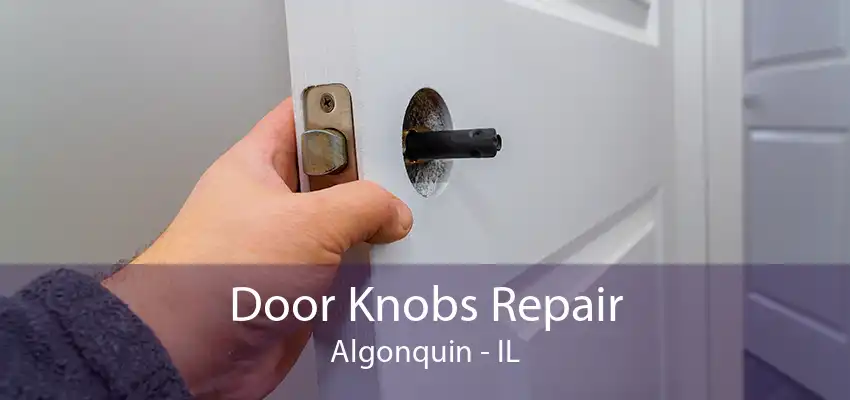 Door Knobs Repair Algonquin - IL