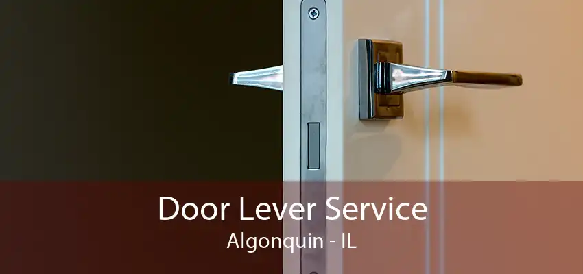 Door Lever Service Algonquin - IL