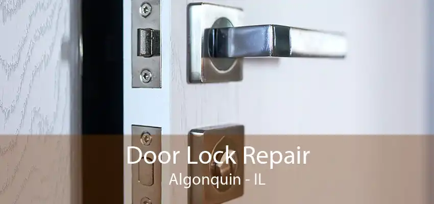 Door Lock Repair Algonquin - IL