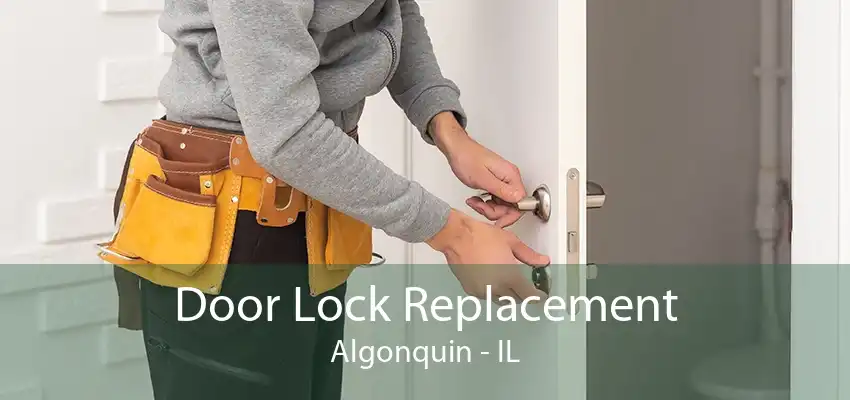 Door Lock Replacement Algonquin - IL