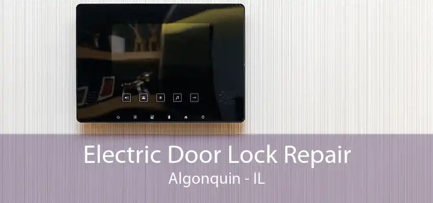 Electric Door Lock Repair Algonquin - IL