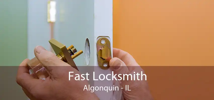 Fast Locksmith Algonquin - IL