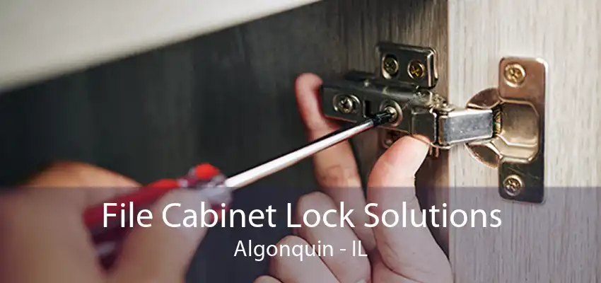 File Cabinet Lock Solutions Algonquin - IL