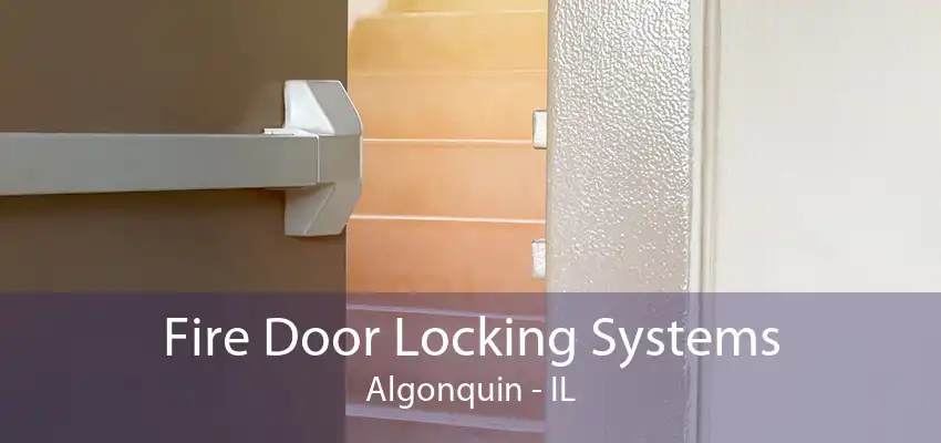 Fire Door Locking Systems Algonquin - IL