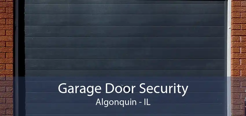 Garage Door Security Algonquin - IL