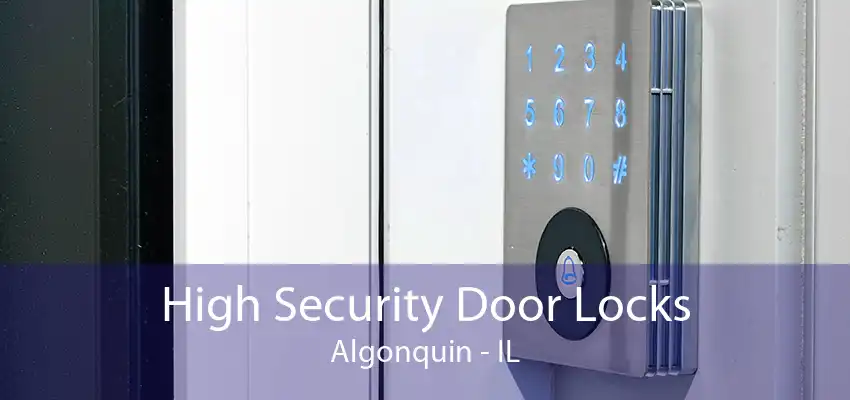 High Security Door Locks Algonquin - IL