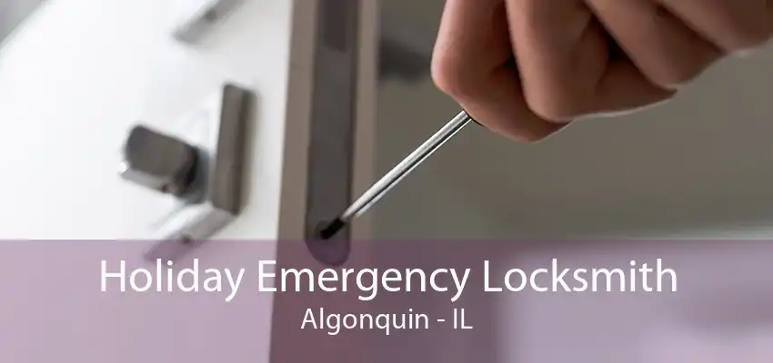 Holiday Emergency Locksmith Algonquin - IL