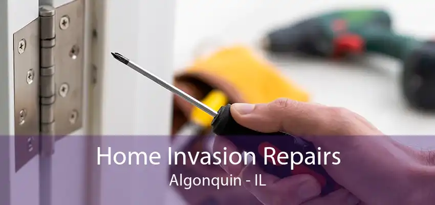 Home Invasion Repairs Algonquin - IL