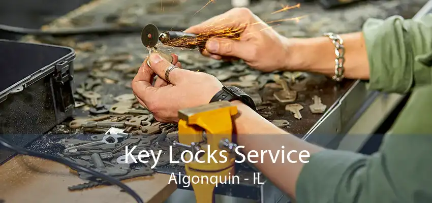 Key Locks Service Algonquin - IL