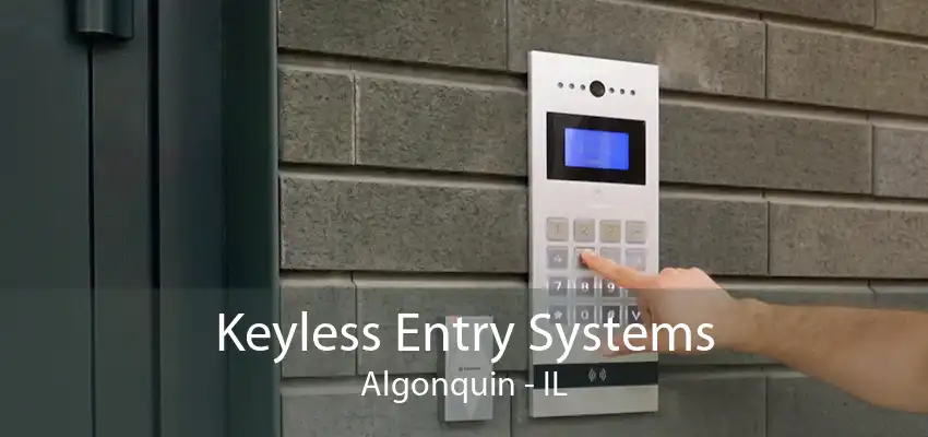 Keyless Entry Systems Algonquin - IL