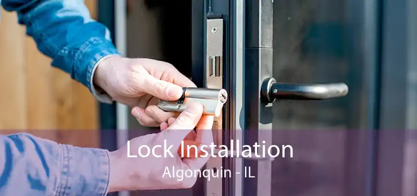 Lock Installation Algonquin - IL