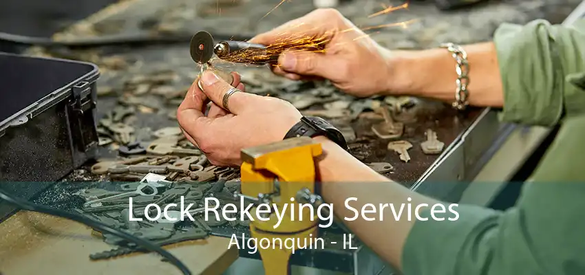 Lock Rekeying Services Algonquin - IL