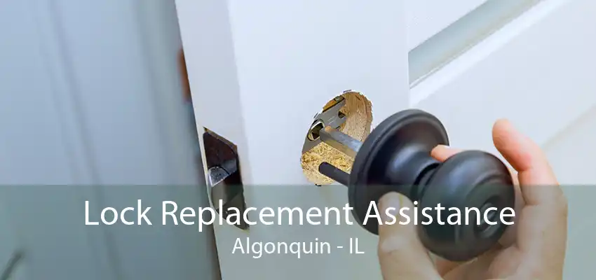 Lock Replacement Assistance Algonquin - IL