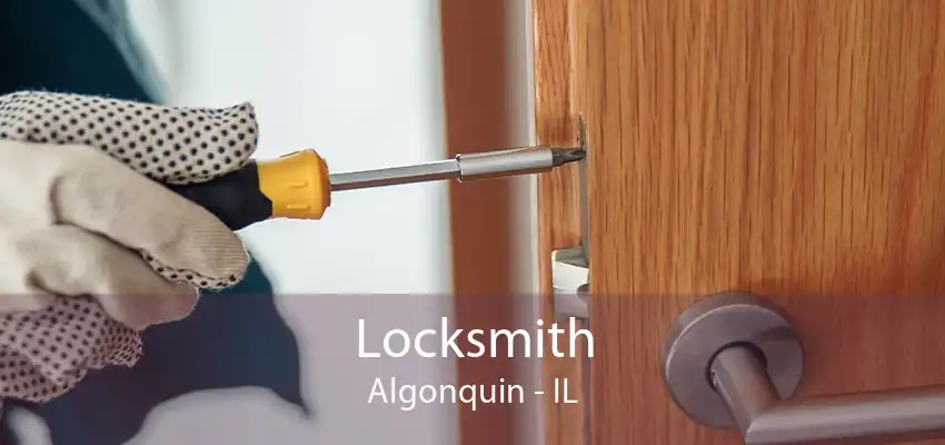 Locksmith Algonquin - IL