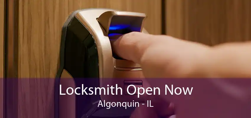 Locksmith Open Now Algonquin - IL