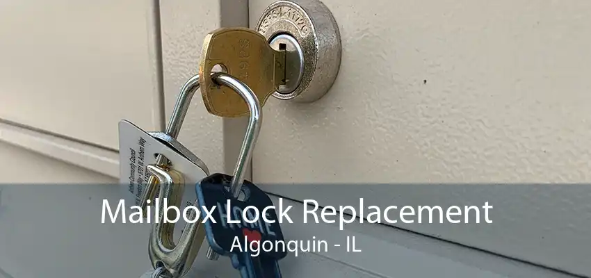 Mailbox Lock Replacement Algonquin - IL