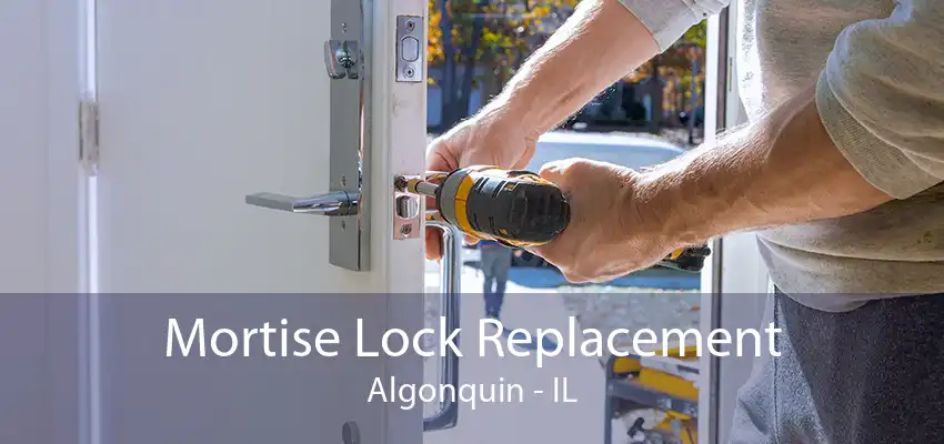 Mortise Lock Replacement Algonquin - IL