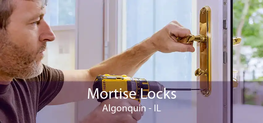 Mortise Locks Algonquin - IL