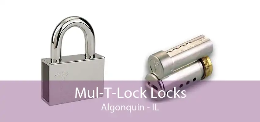 Mul-T-Lock Locks Algonquin - IL