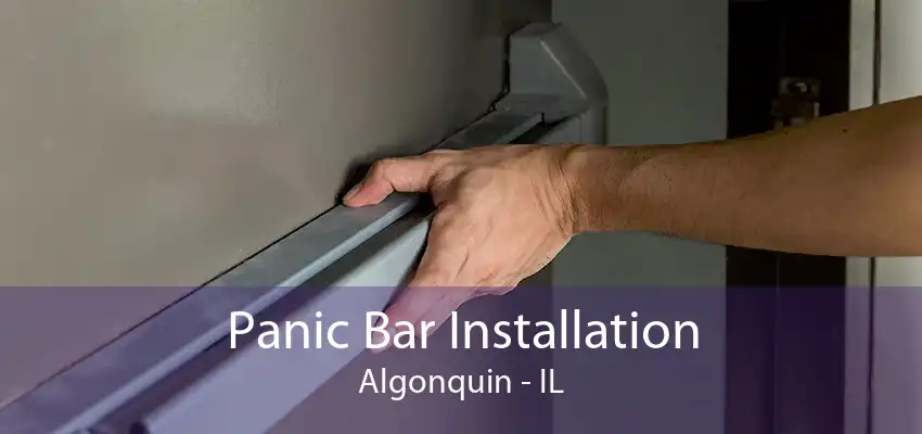 Panic Bar Installation Algonquin - IL