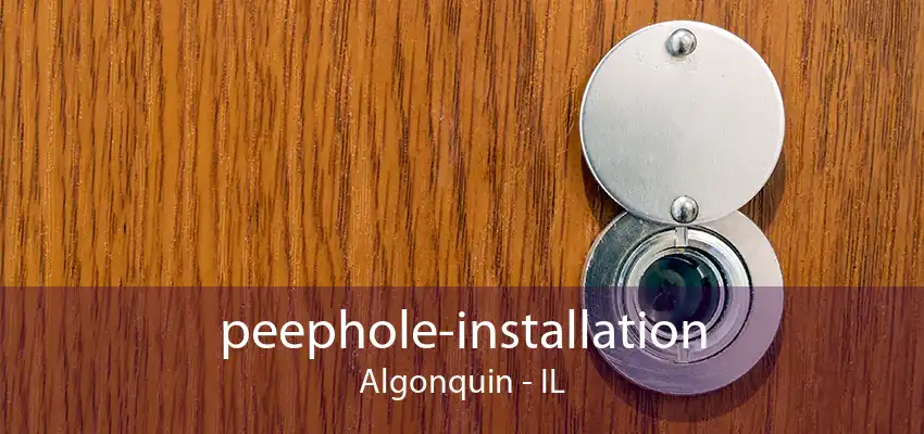 peephole-installation Algonquin - IL