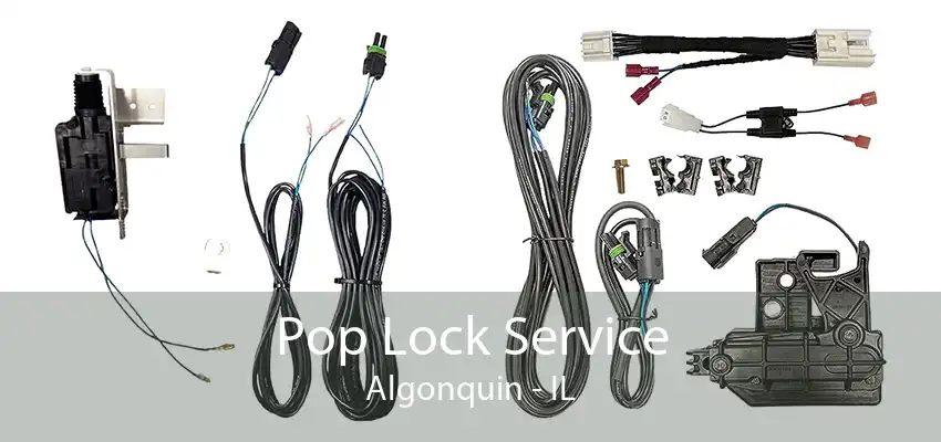 Pop Lock Service Algonquin - IL