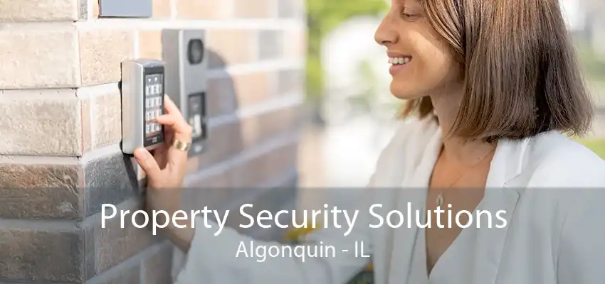 Property Security Solutions Algonquin - IL