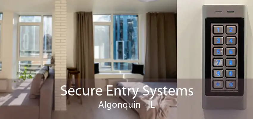 Secure Entry Systems Algonquin - IL