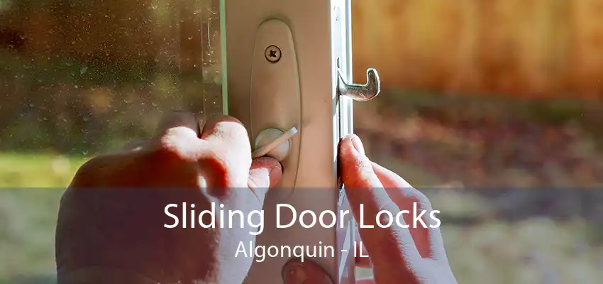 Sliding Door Locks Algonquin - IL