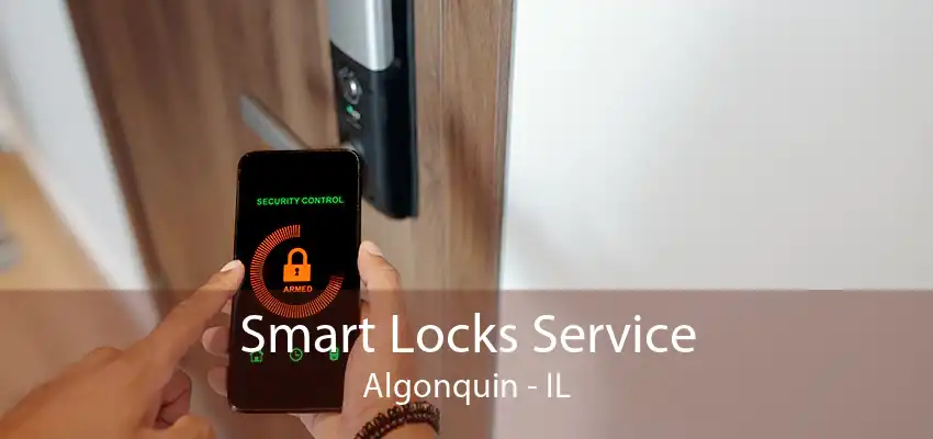 Smart Locks Service Algonquin - IL