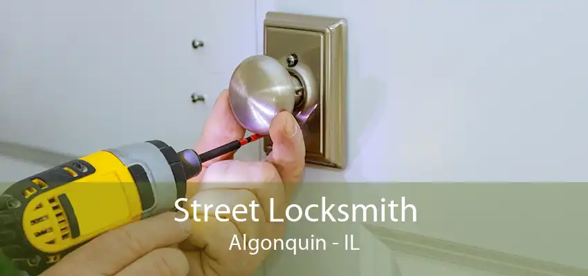 Street Locksmith Algonquin - IL