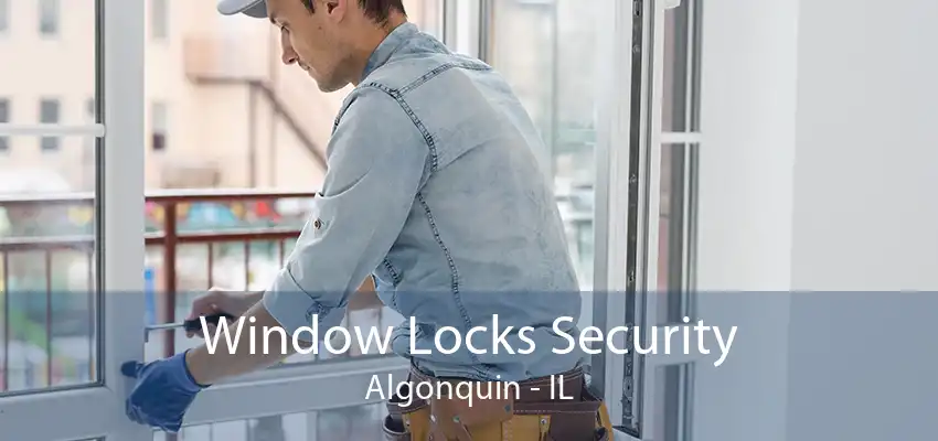 Window Locks Security Algonquin - IL